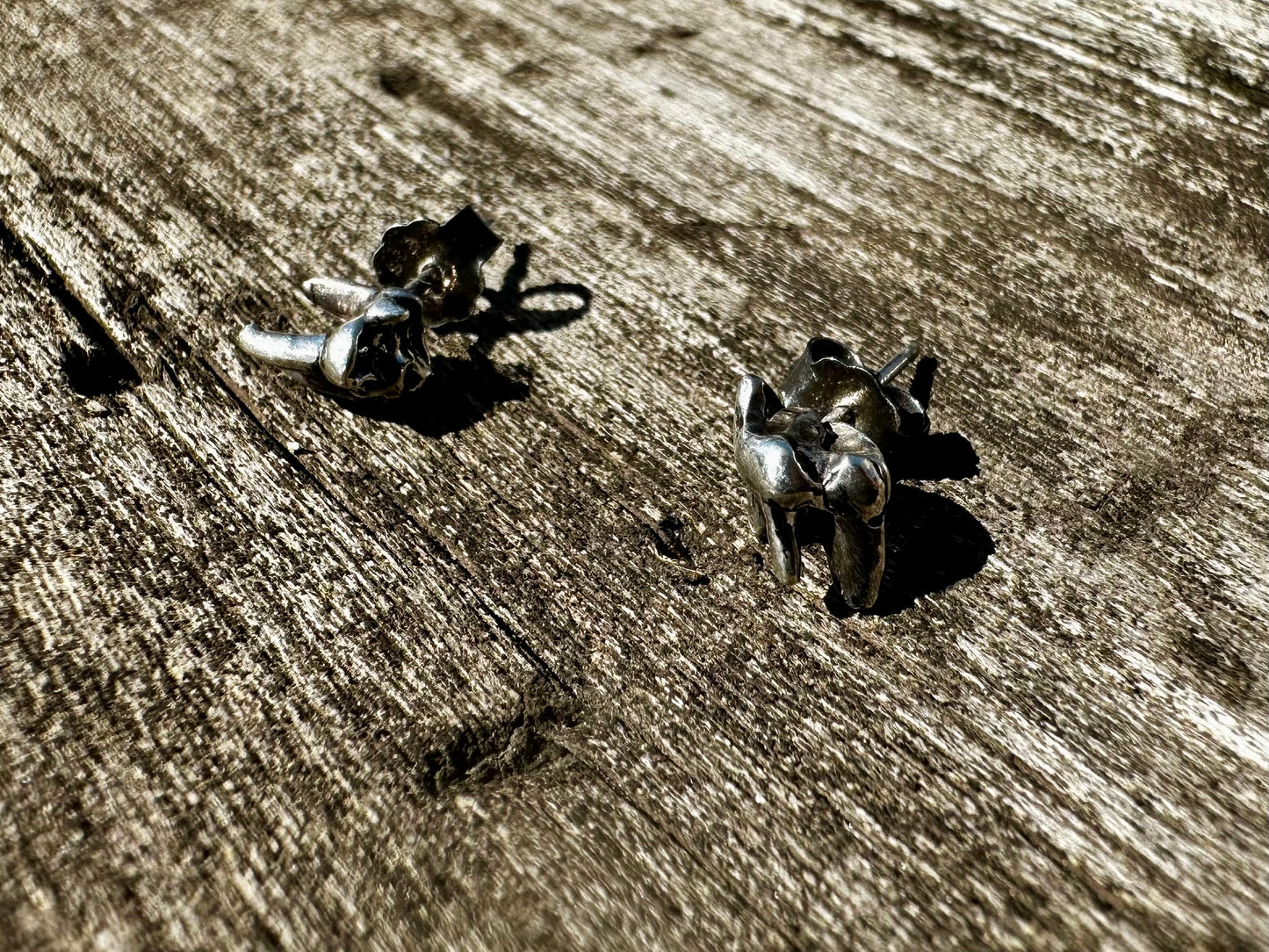 Tooth studs