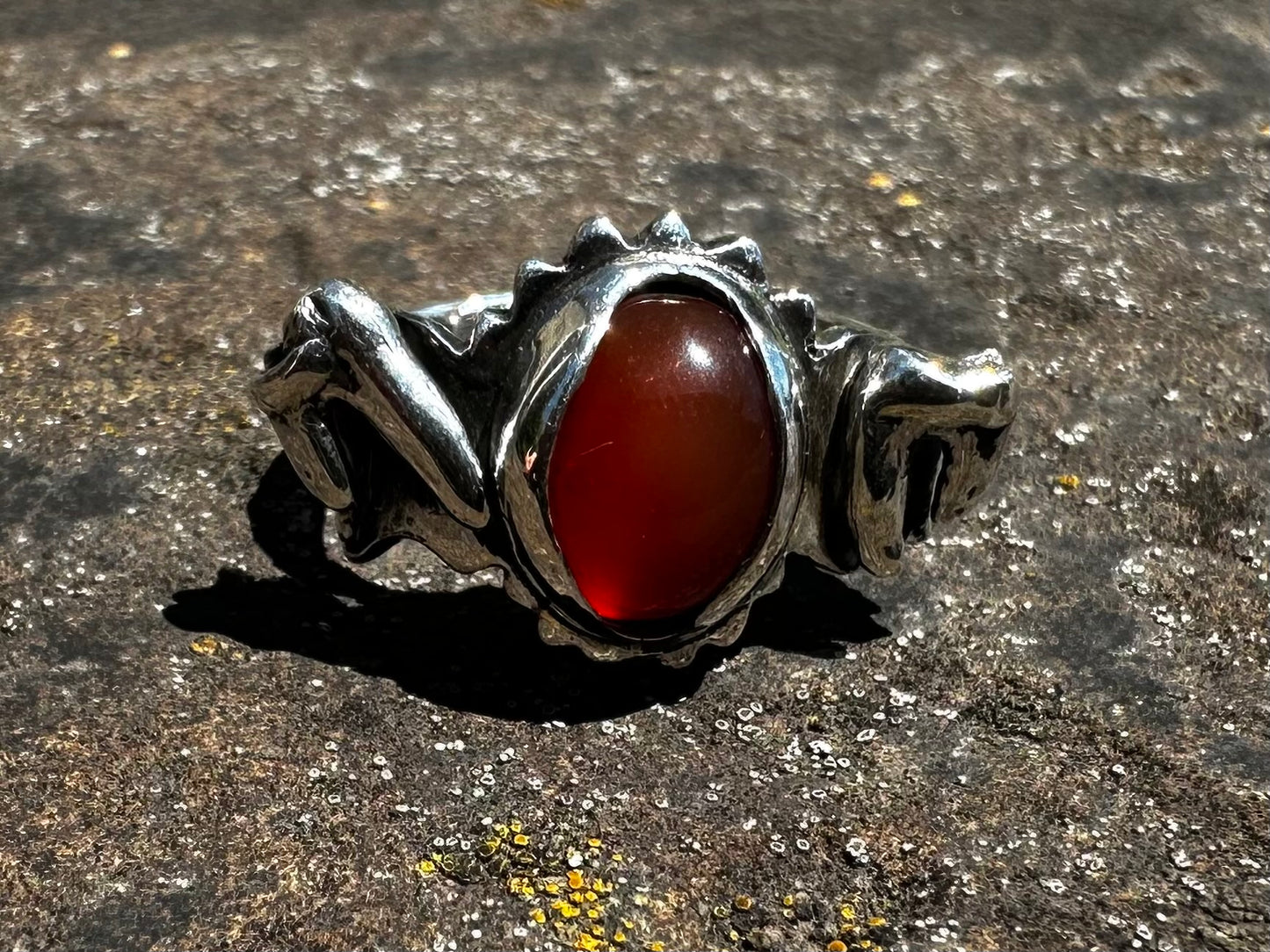 Tooth and chains ring