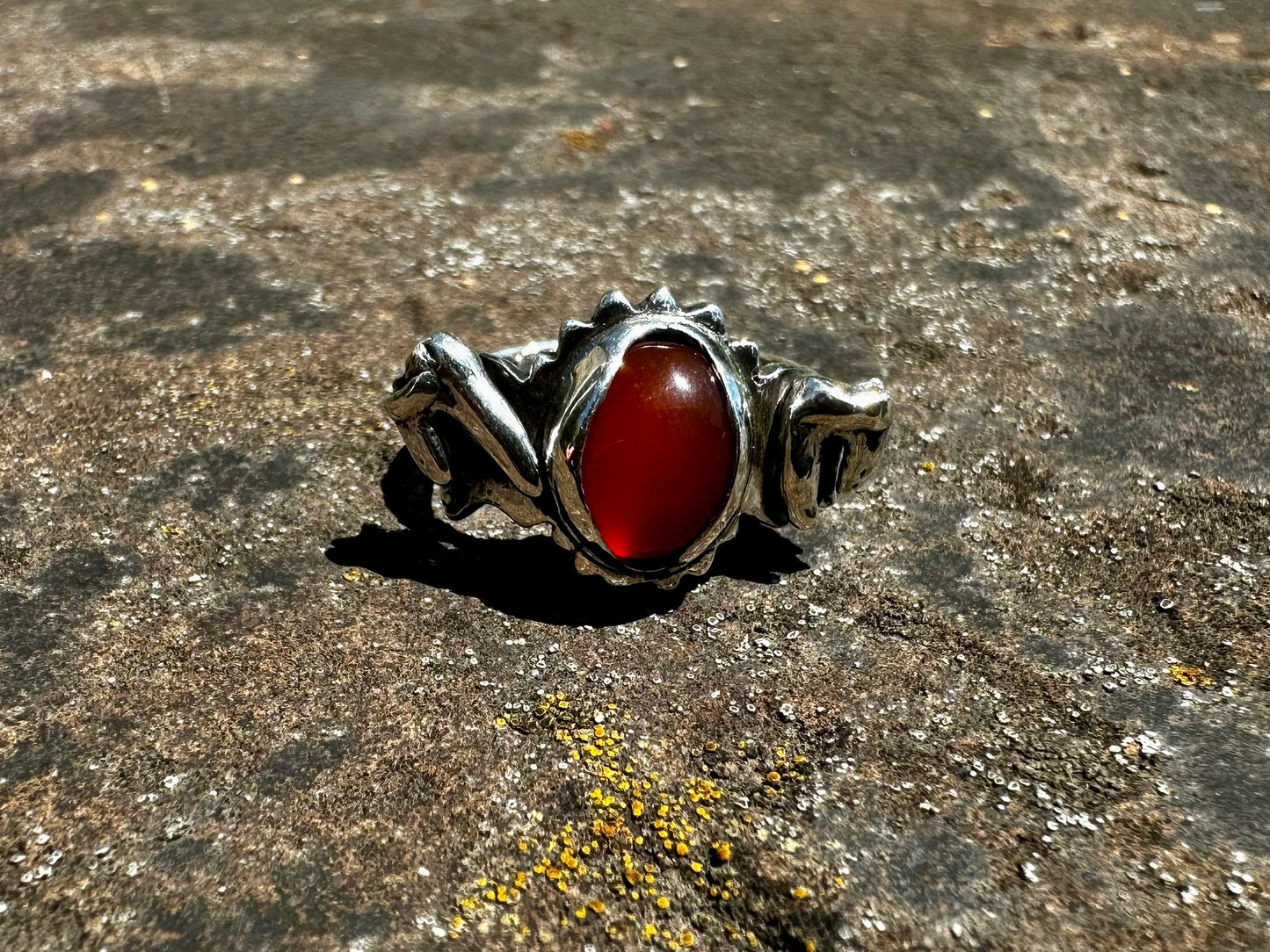 Tooth and chains ring
