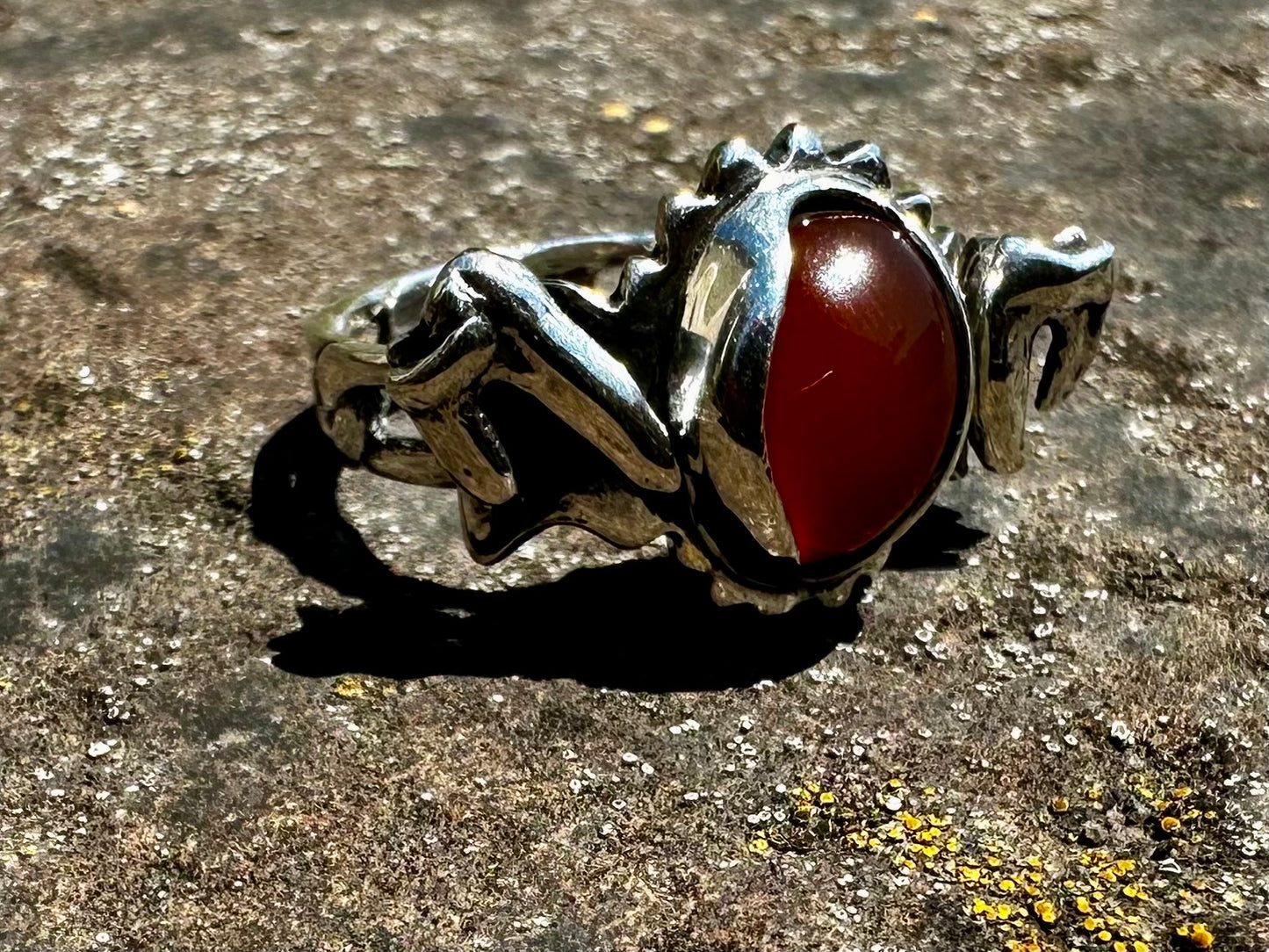 Tooth and chains ring