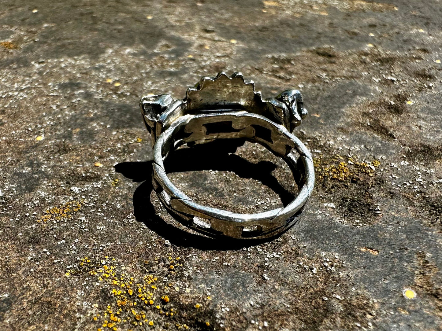 Tooth and chains ring
